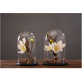 Groothandel Houten Cloche Bell Jar Bloem Glazen Koepel Set